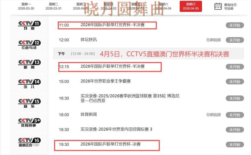 世界杯投注平台合集深度评测合集：覆盖访问方式+直播与入口方式 - 世界杯直播